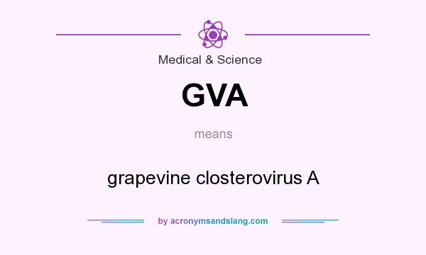 What does GVA mean? It stands for grapevine closterovirus A
