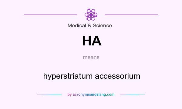 What does HA mean? It stands for hyperstriatum accessorium