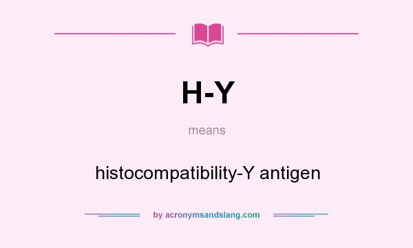 What does H-Y mean? It stands for histocompatibility-Y antigen