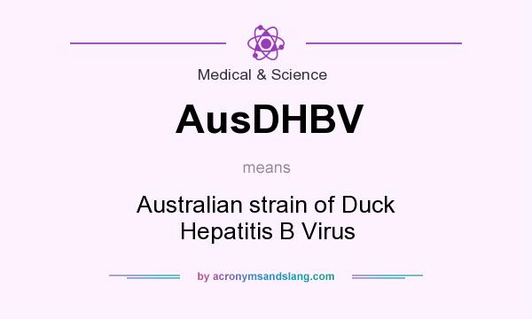 What does AusDHBV mean? It stands for Australian strain of Duck Hepatitis B Virus