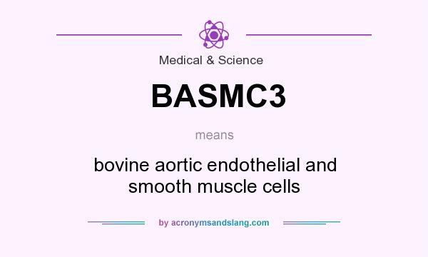 What does BASMC3 mean? It stands for bovine aortic endothelial and smooth muscle cells