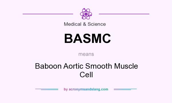 What does BASMC mean? It stands for Baboon Aortic Smooth Muscle Cell