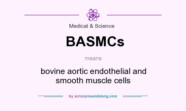 What does BASMCs mean? It stands for bovine aortic endothelial and smooth muscle cells