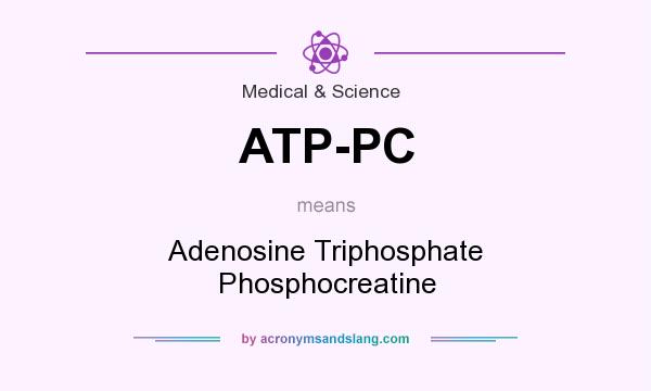 What does ATP-PC mean? It stands for Adenosine Triphosphate Phosphocreatine
