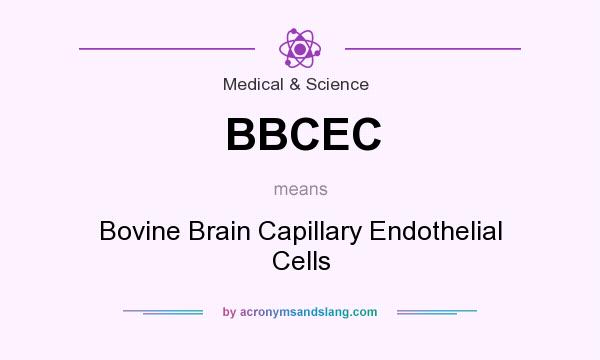 What does BBCEC mean? It stands for Bovine Brain Capillary Endothelial Cells
