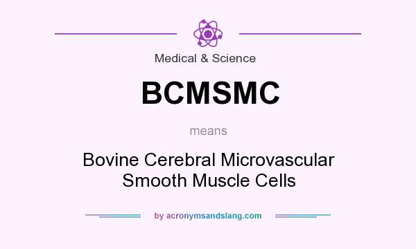 What does BCMSMC mean? It stands for Bovine Cerebral Microvascular Smooth Muscle Cells