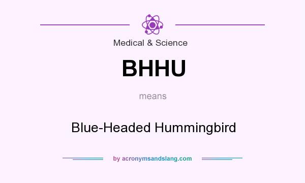 What does BHHU mean? It stands for Blue-Headed Hummingbird