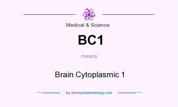 What does BC1 mean? It stands for Brain Cytoplasmic 1