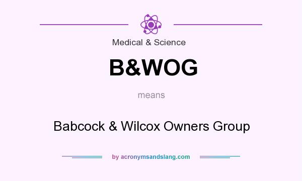 What does B&WOG mean? It stands for Babcock & Wilcox Owners Group