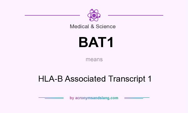 What does BAT1 mean? It stands for HLA-B Associated Transcript 1