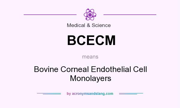 What does BCECM mean? It stands for Bovine Corneal Endothelial Cell Monolayers