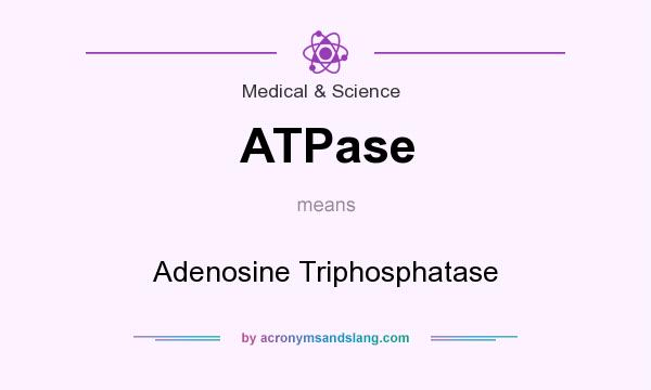 What does ATPase mean? It stands for Adenosine Triphosphatase