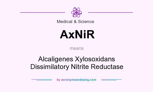 What does AxNiR mean? It stands for Alcaligenes Xylosoxidans Dissimilatory Nitrite Reductase