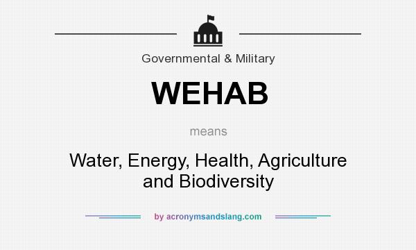 What does WEHAB mean? It stands for Water, Energy, Health, Agriculture and Biodiversity