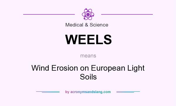 What does WEELS mean? It stands for Wind Erosion on European Light Soils