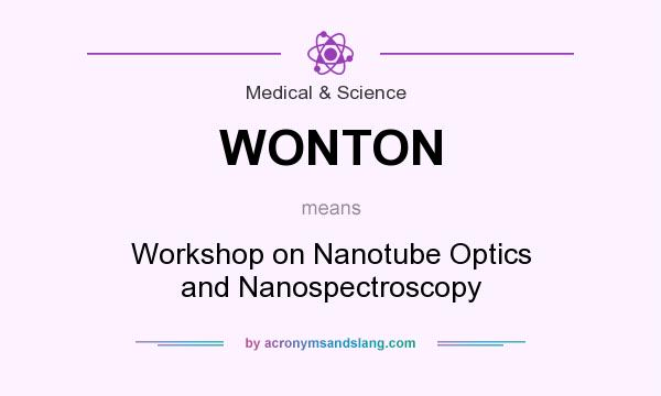 What does WONTON mean? It stands for Workshop on Nanotube Optics and Nanospectroscopy