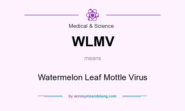 What does WLMV mean? It stands for Watermelon Leaf Mottle Virus