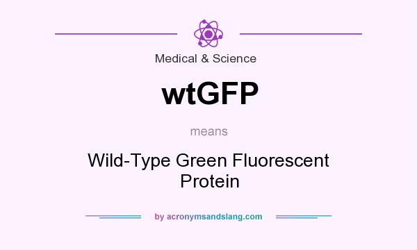 What does wtGFP mean? It stands for Wild-Type Green Fluorescent Protein
