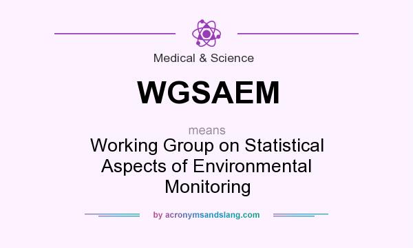 What does WGSAEM mean? It stands for Working Group on Statistical Aspects of Environmental Monitoring