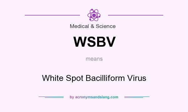 What does WSBV mean? It stands for White Spot Bacilliform Virus