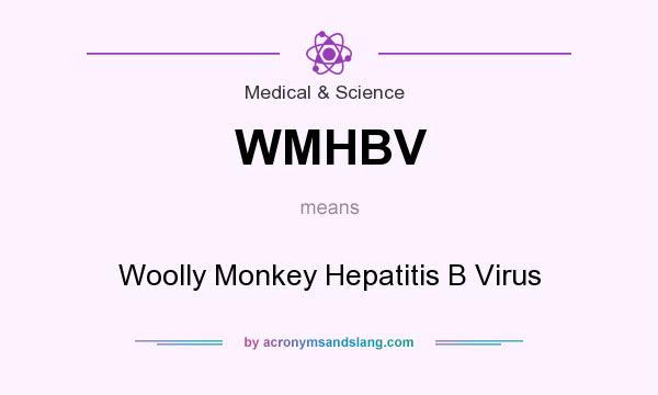 What does WMHBV mean? It stands for Woolly Monkey Hepatitis B Virus