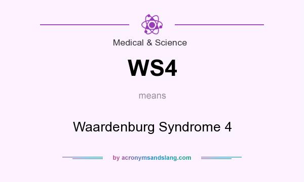 What does WS4 mean? It stands for Waardenburg Syndrome 4