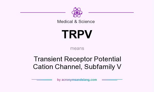 What does TRPV mean? It stands for Transient Receptor Potential Cation Channel, Subfamily V