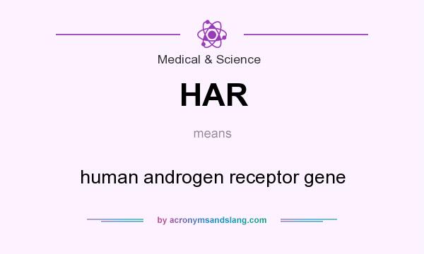 What does HAR mean? It stands for human androgen receptor gene