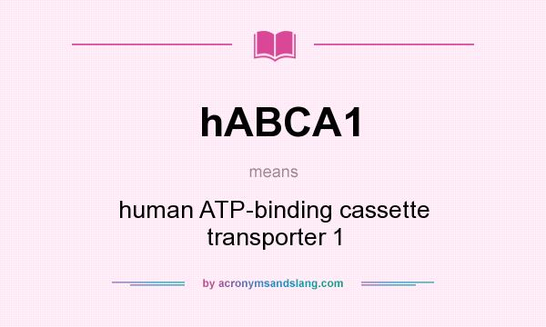 What does hABCA1 mean? It stands for human ATP-binding cassette transporter 1