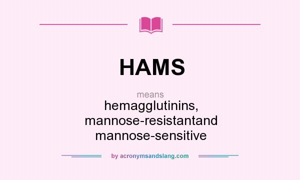 What does HAMS mean? It stands for hemagglutinins, mannose-resistantand mannose-sensitive