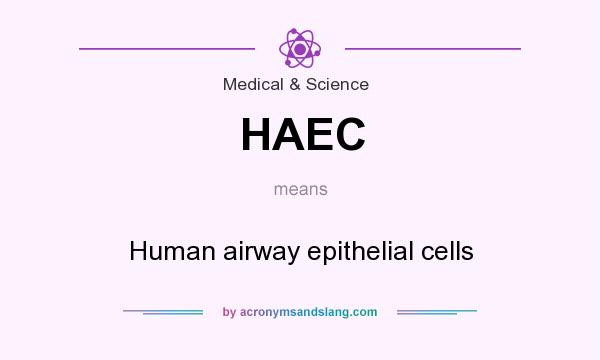 What does HAEC mean? It stands for Human airway epithelial cells