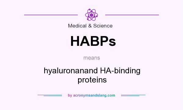 What does HABPs mean? It stands for hyaluronanand HA-binding proteins