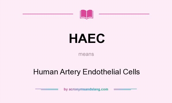 What does HAEC mean? It stands for Human Artery Endothelial Cells