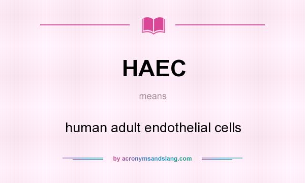 What does HAEC mean? It stands for human adult endothelial cells
