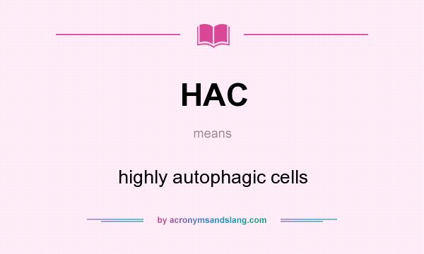 What does HAC mean? It stands for highly autophagic cells