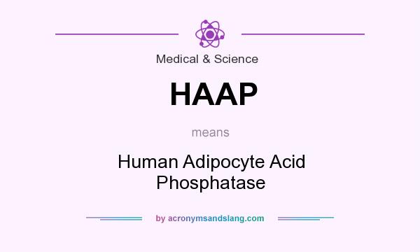 What does HAAP mean? It stands for Human Adipocyte Acid Phosphatase