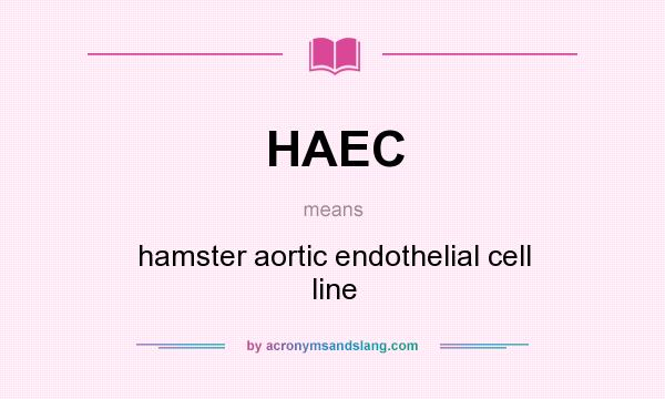 What does HAEC mean? It stands for hamster aortic endothelial cell line