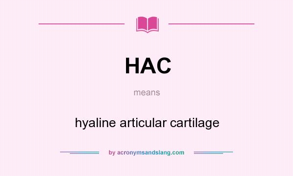 What does HAC mean? It stands for hyaline articular cartilage