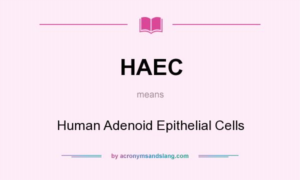 What does HAEC mean? It stands for Human Adenoid Epithelial Cells