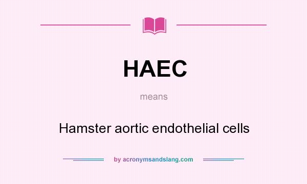 What does HAEC mean? It stands for Hamster aortic endothelial cells
