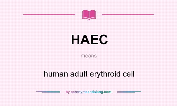 What does HAEC mean? It stands for human adult erythroid cell