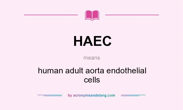 What does HAEC mean? It stands for human adult aorta endothelial cells
