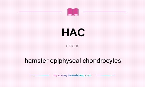 What does HAC mean? It stands for hamster epiphyseal chondrocytes