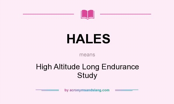 What does HALES mean? It stands for High Altitude Long Endurance Study
