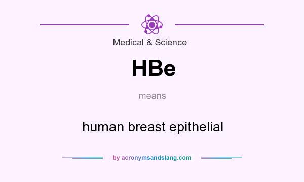 What does HBe mean? It stands for human breast epithelial