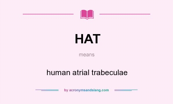 What does HAT mean? It stands for human atrial trabeculae