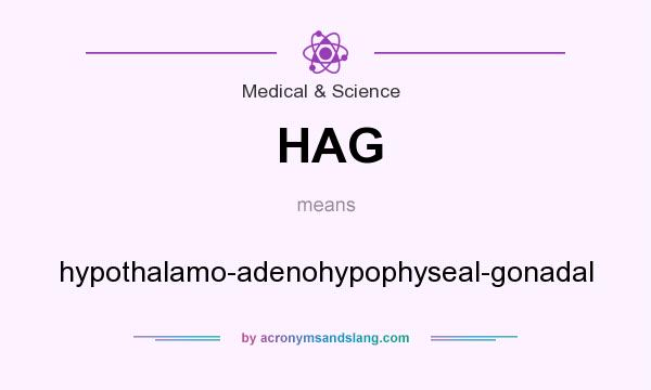 What does HAG mean? It stands for hypothalamo-adenohypophyseal-gonadal