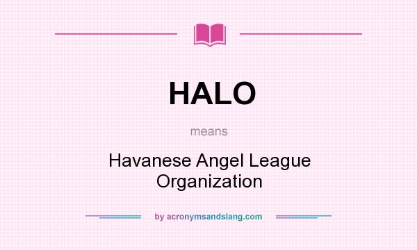 What does HALO mean? It stands for Havanese Angel League Organization