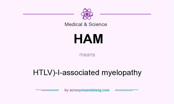 What does HAM mean? It stands for HTLV)-I-associated myelopathy
