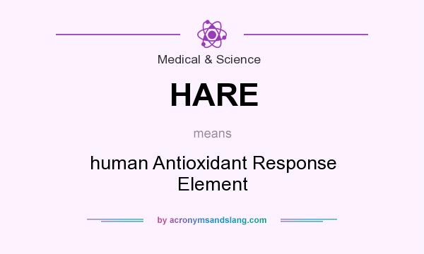 What does HARE mean? It stands for human Antioxidant Response Element